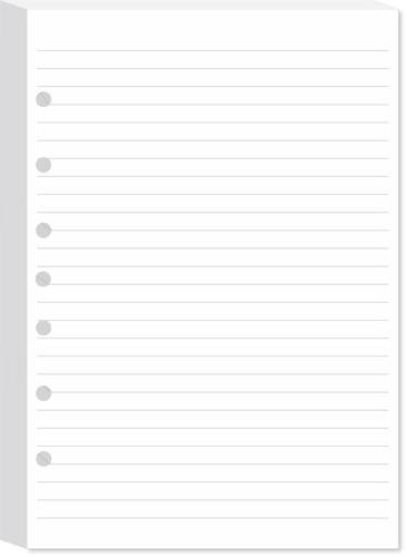 Hole lined filler paper - lined,